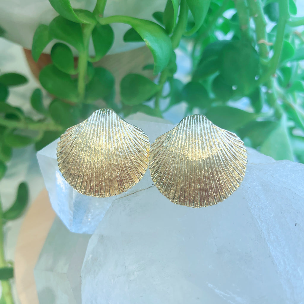 Golden Seashell Studs