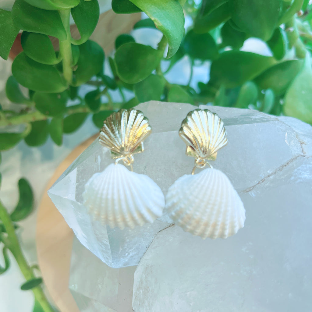 Zara Seashell Earrings