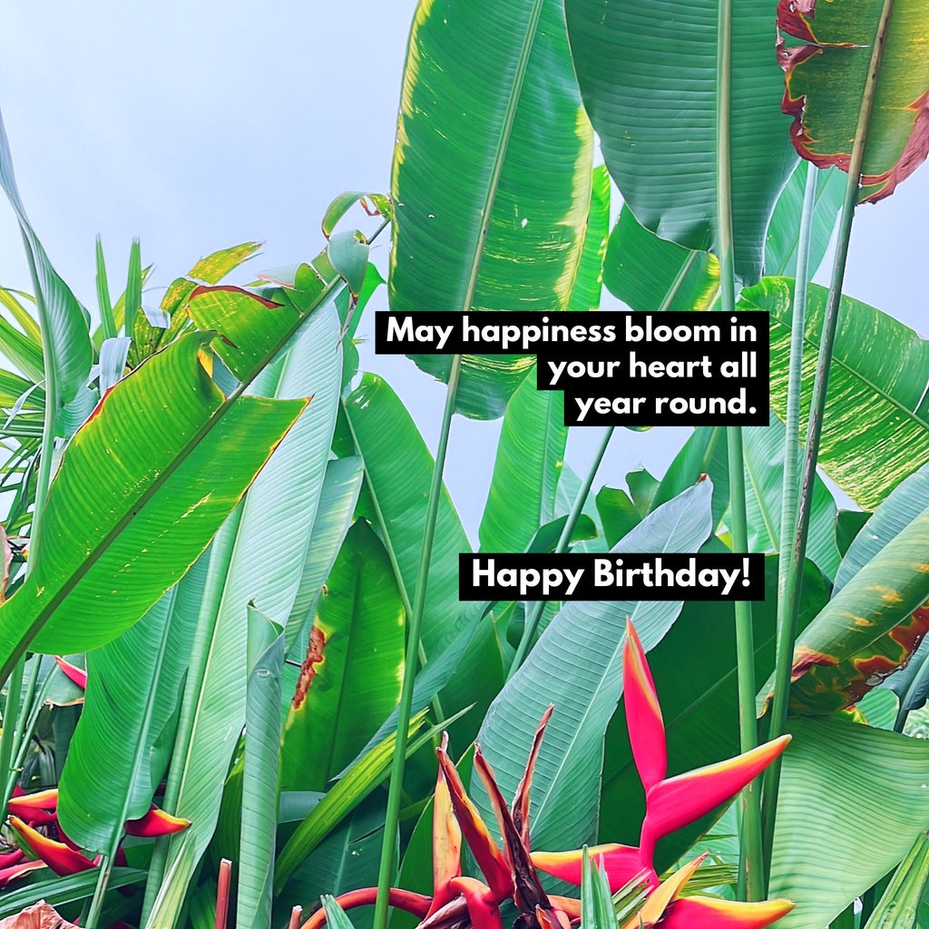 May Happiness Bloom Happy Birthday