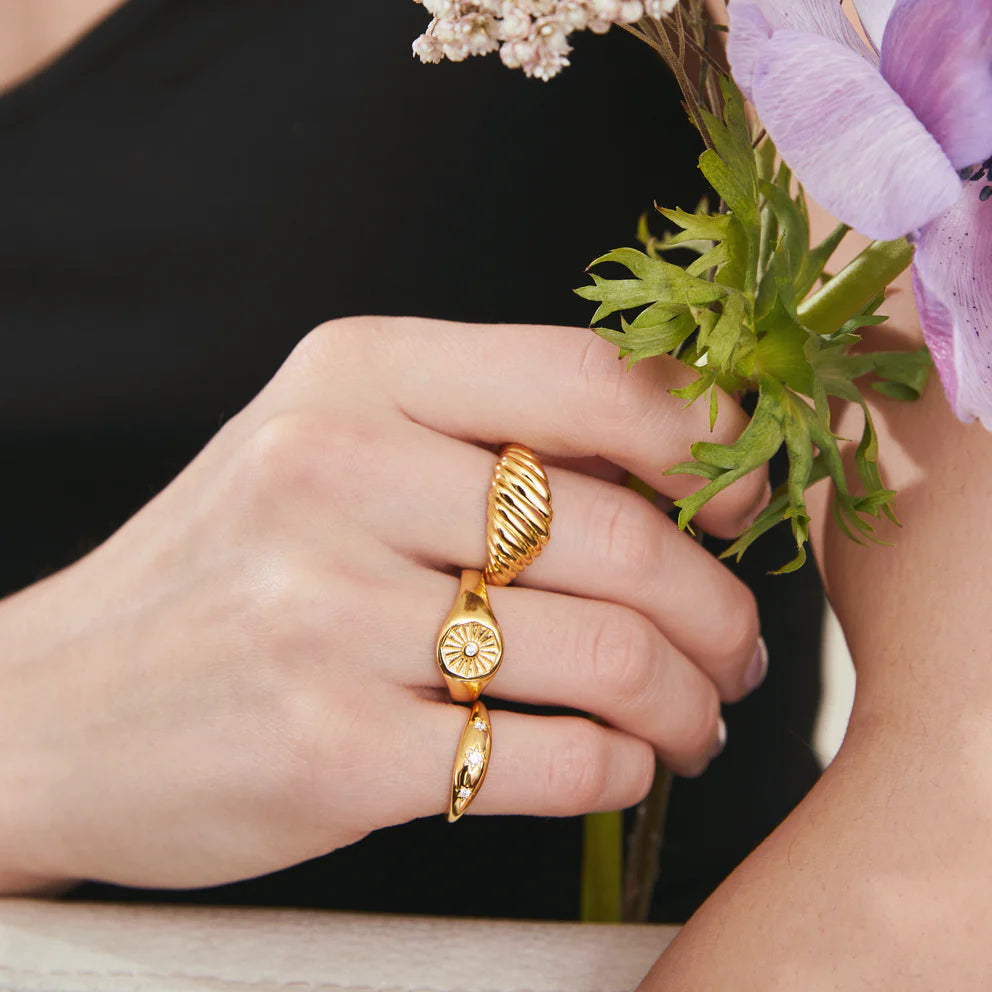 Astra Angel Rings Astra Signet Ring | 1609 Design