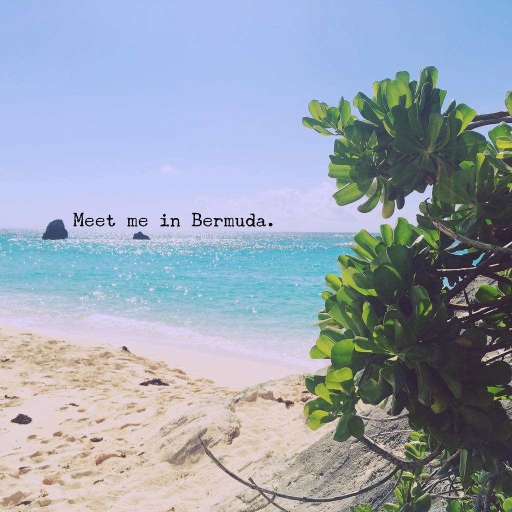 Meet me in Bermuda