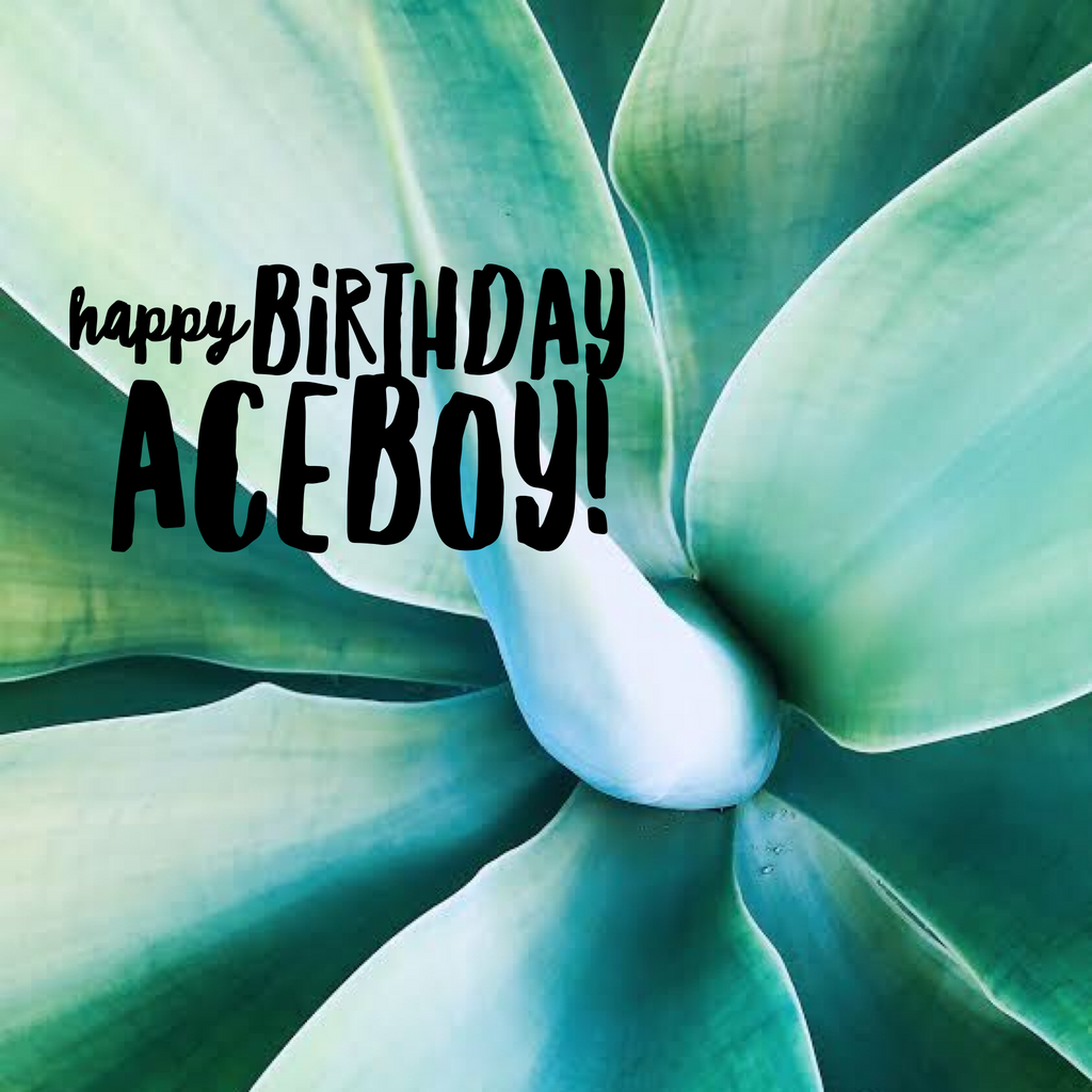 Happy Birthday Aceboy!