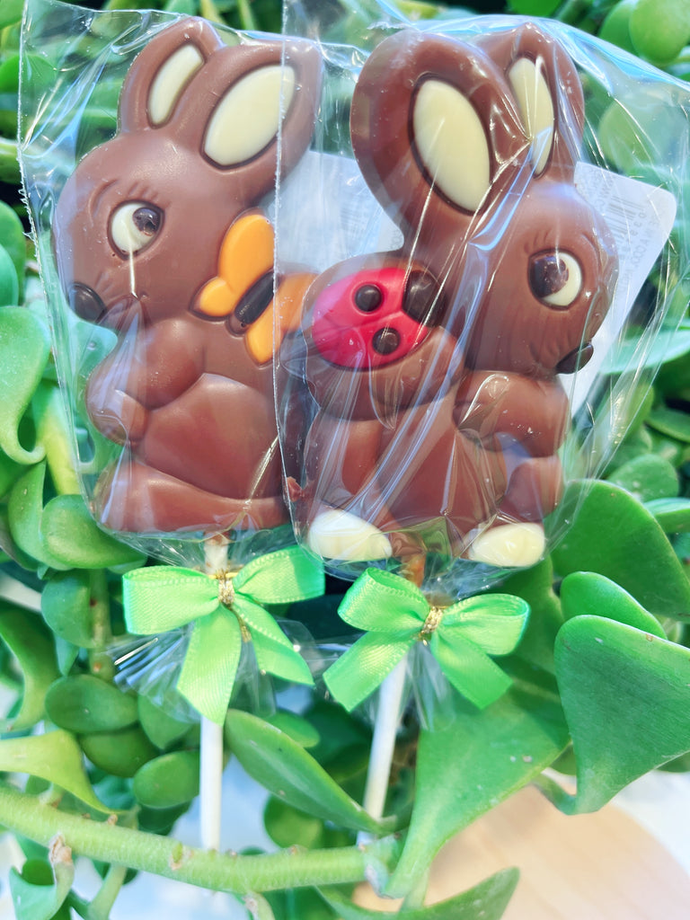 Chocolate Bunny + Butterfly + Ladybug Lollipop