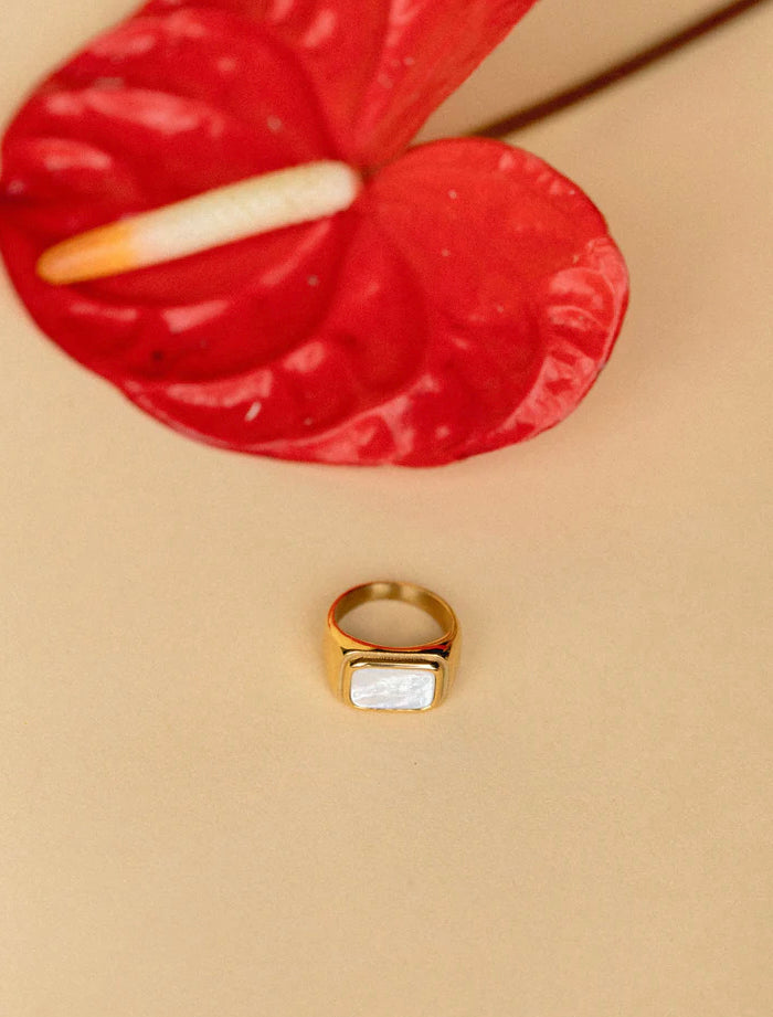 Spring Ring | 1609 Design
