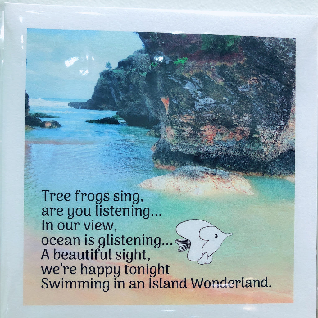 Tree Frogs Sing….