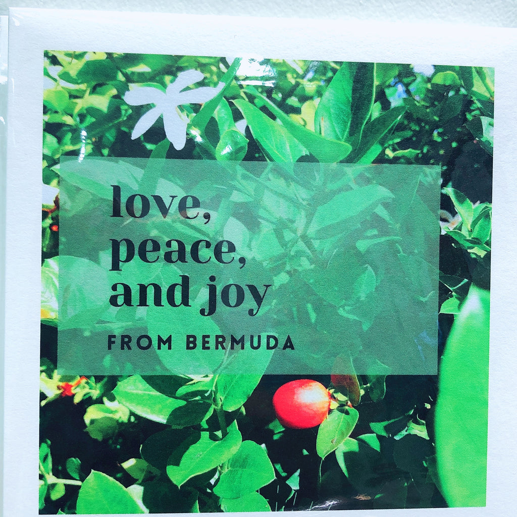 Love, Peace + Joy from Bermuda