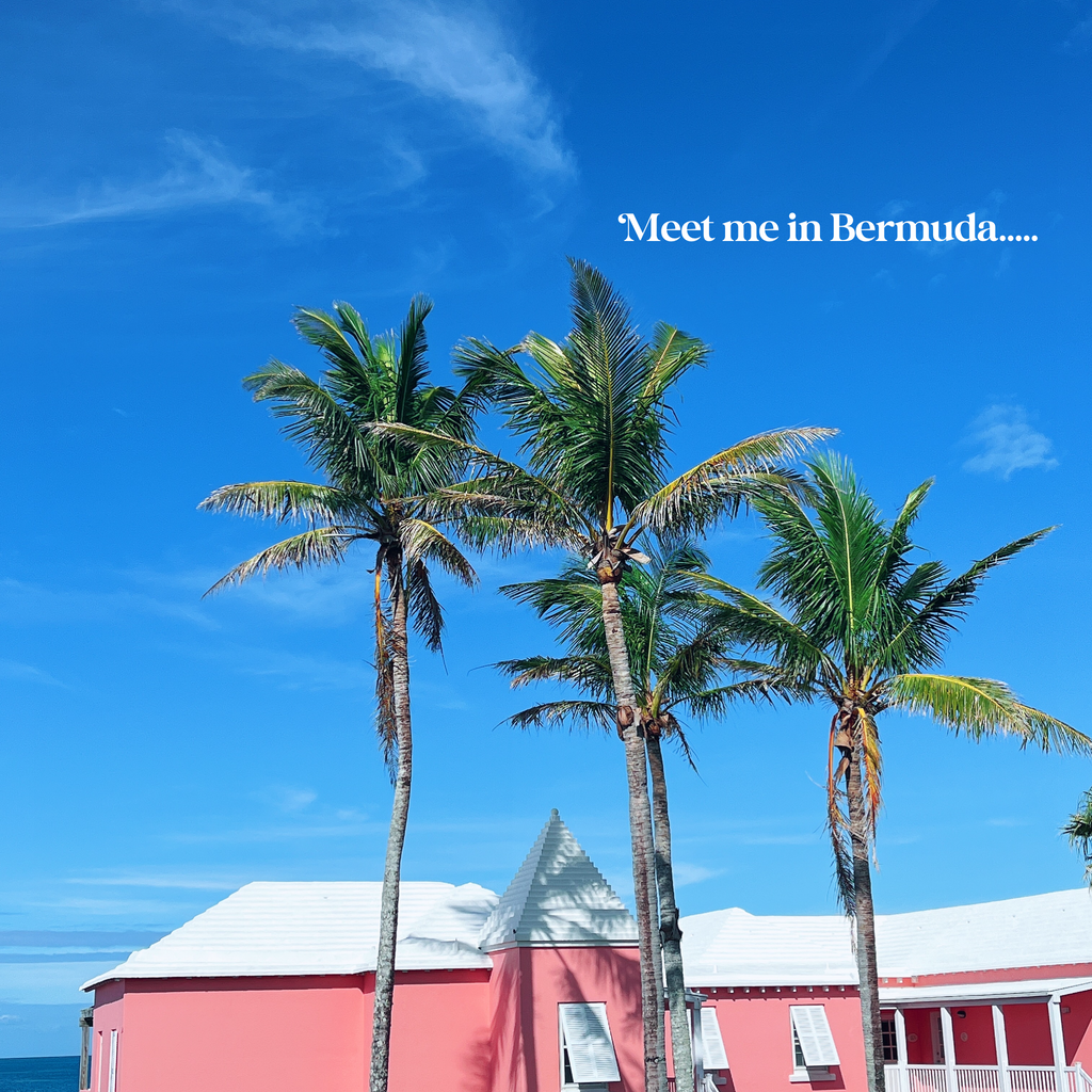 Meet me in Bermuda